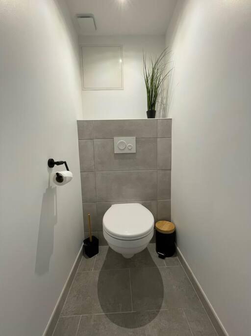 Logement Idealement Situe Sur La Voie Verte Celles-sur-Plaine Exterior foto